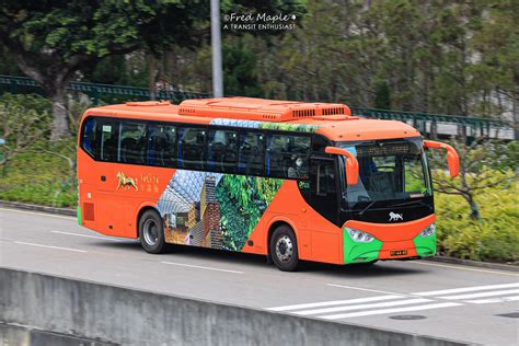 mgm macau shuttle bus